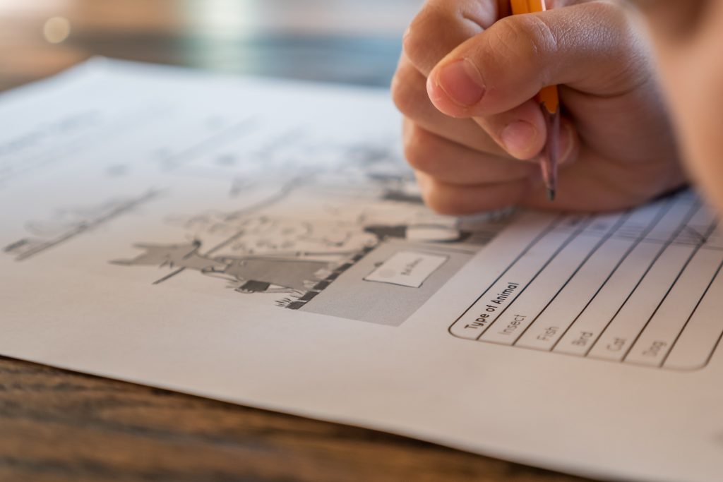 A close-up captures a child's hand holding a pencil and filling out an educational worksheet. The worksheet includes illustrations and text, with a section labeled "Type of animal" and options such as "Insect" and "Fish," suggesting an activity focused on learning about different animal classifications. The focus on the child's hand and the worksheet conveys a moment of learning and concentration.